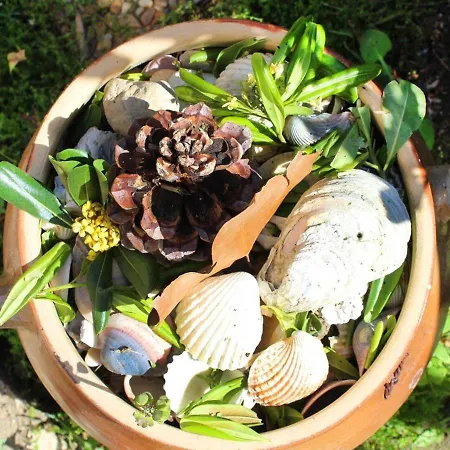 Superbe T2 Avec Jardin Et Parking, Cap D'agde - Fr-1-607-94 Apartamento Agde