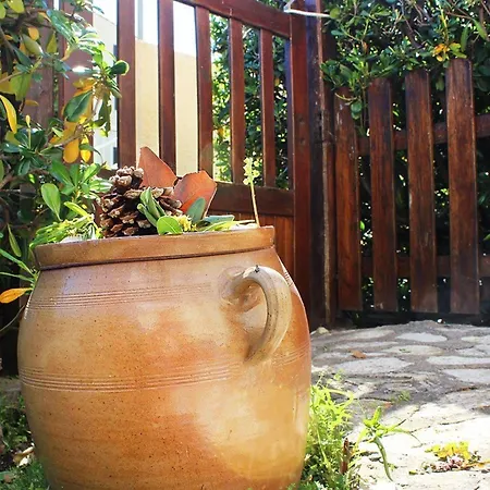 Superbe T2 Avec Jardin Et Parking, Cap D'agde - Fr-1-607-94 * Agde