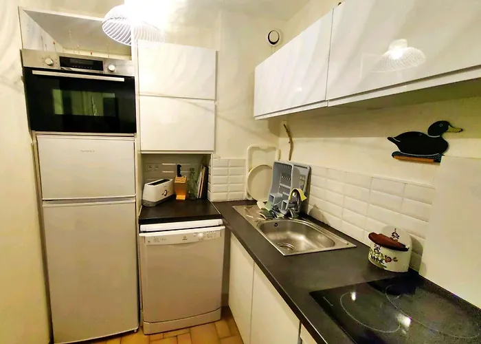 Apartamento Superbe T2 Avec Jardin Et Parking, Cap D'agde - Fr-1-607-94 *