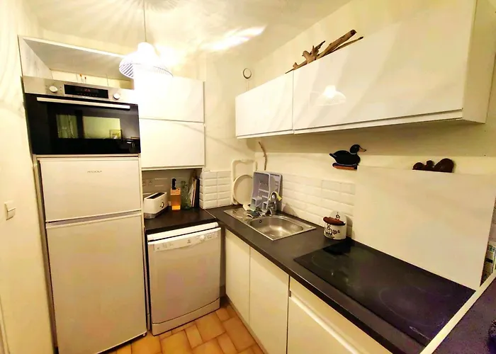 Superbe T2 Avec Jardin Et Parking, Cap D'agde - Fr-1-607-94 *